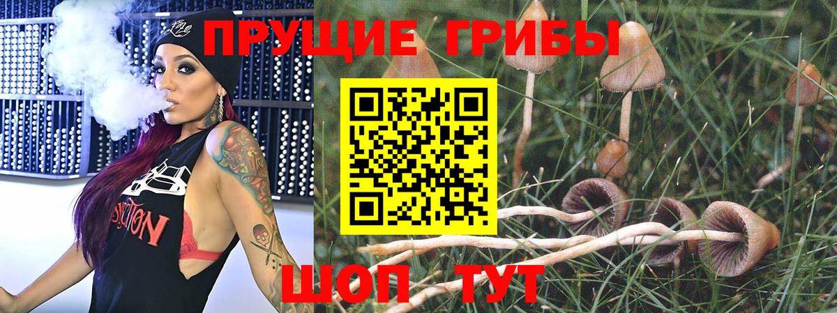 Галлюциногенные грибы ЛСД  Вход с VPN  Краснознаменск 