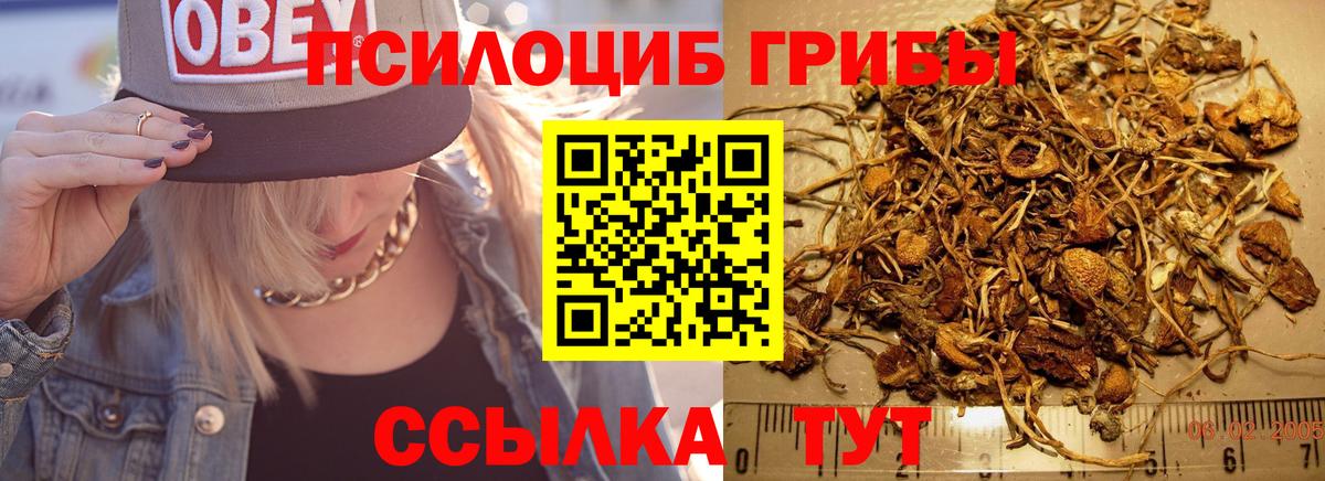 Псилоцибиновые грибы Magic Shrooms Краснознаменск