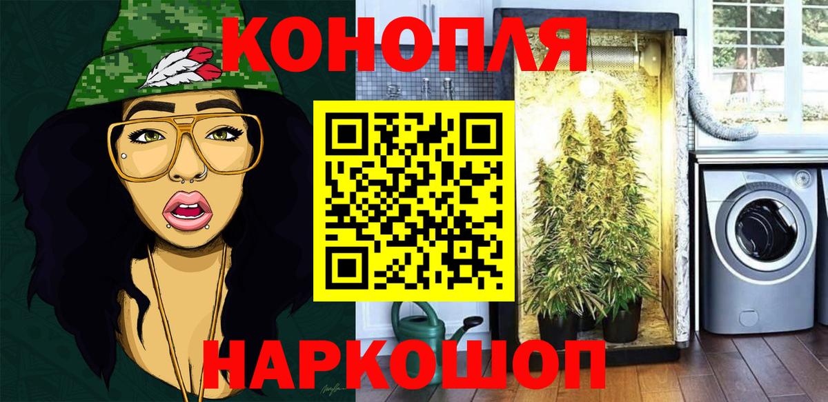 Канабис гибрид  Марихуана марихуана  Краснознаменск  Конопля White Widow  Вход с VPN 
